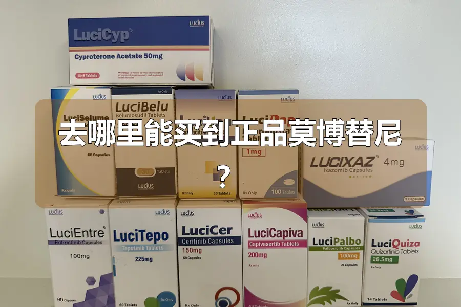 去哪里能买到正品莫博替尼?