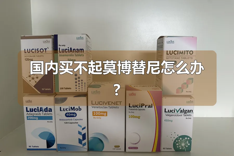 国内买不起莫博替尼怎么办?